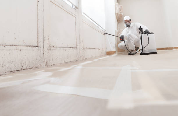 24/7 Emergency Basement Mold Removal experts in Glenwood, GA